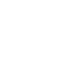 avigilon_white