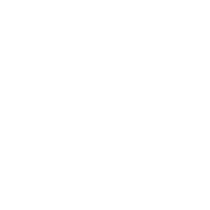 bc-hydro_white